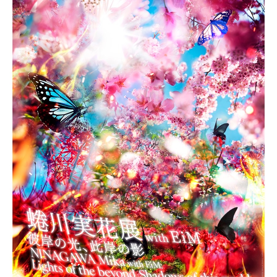 京都蜷川實花最大規模展覽《彼岸之光,此岸之影》