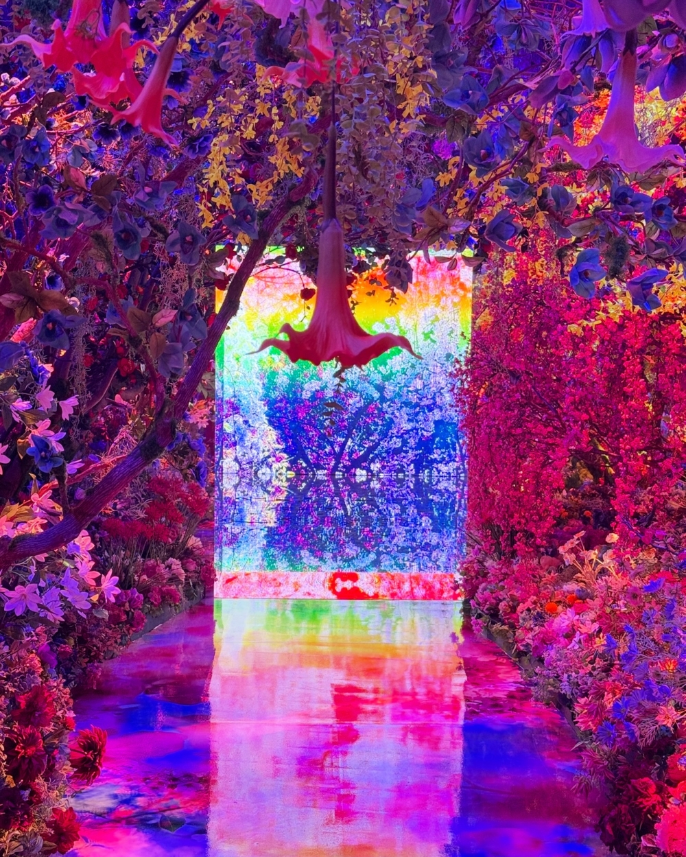 10個沉浸式「畫卷體驗」展區