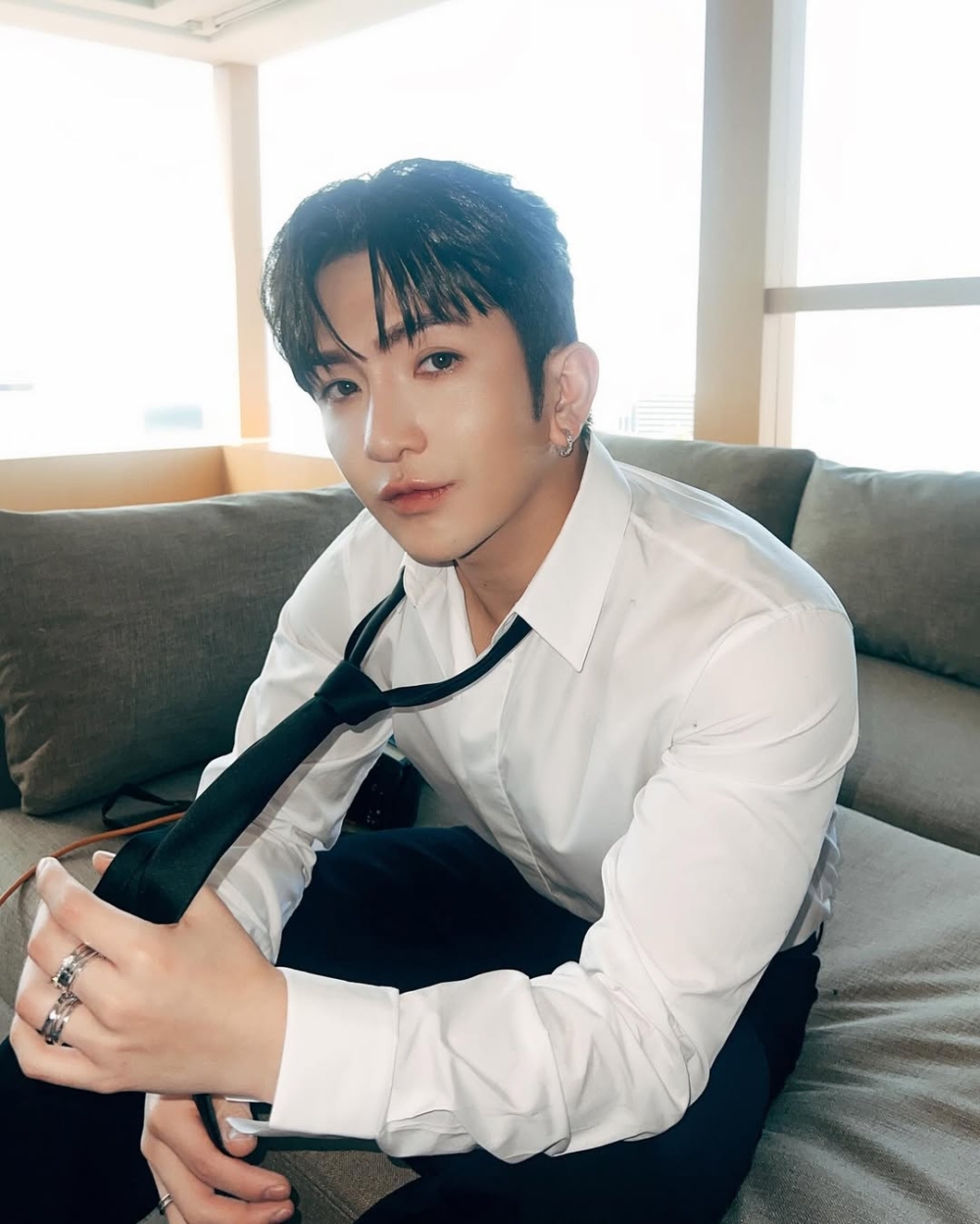 屬豬藝人代表：Anson Lo（盧瀚霆）。