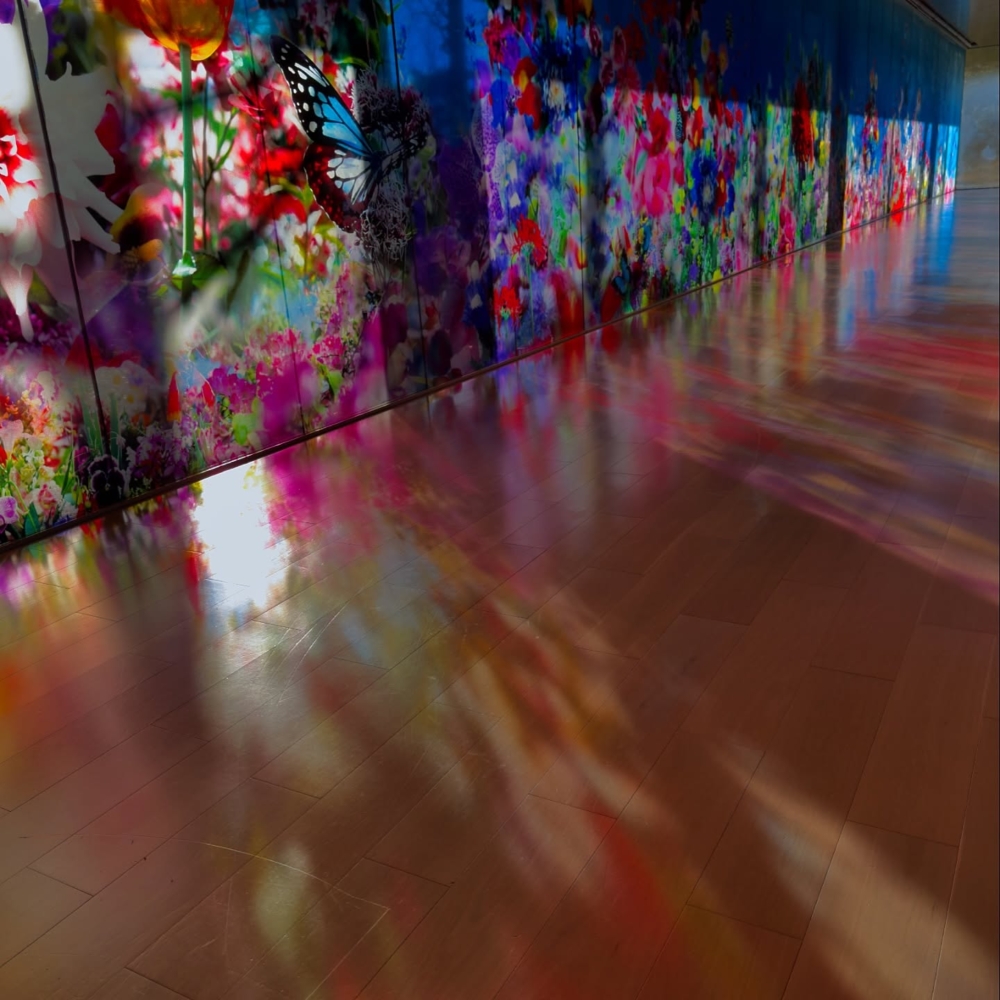 10個沉浸式「畫卷體驗」展區