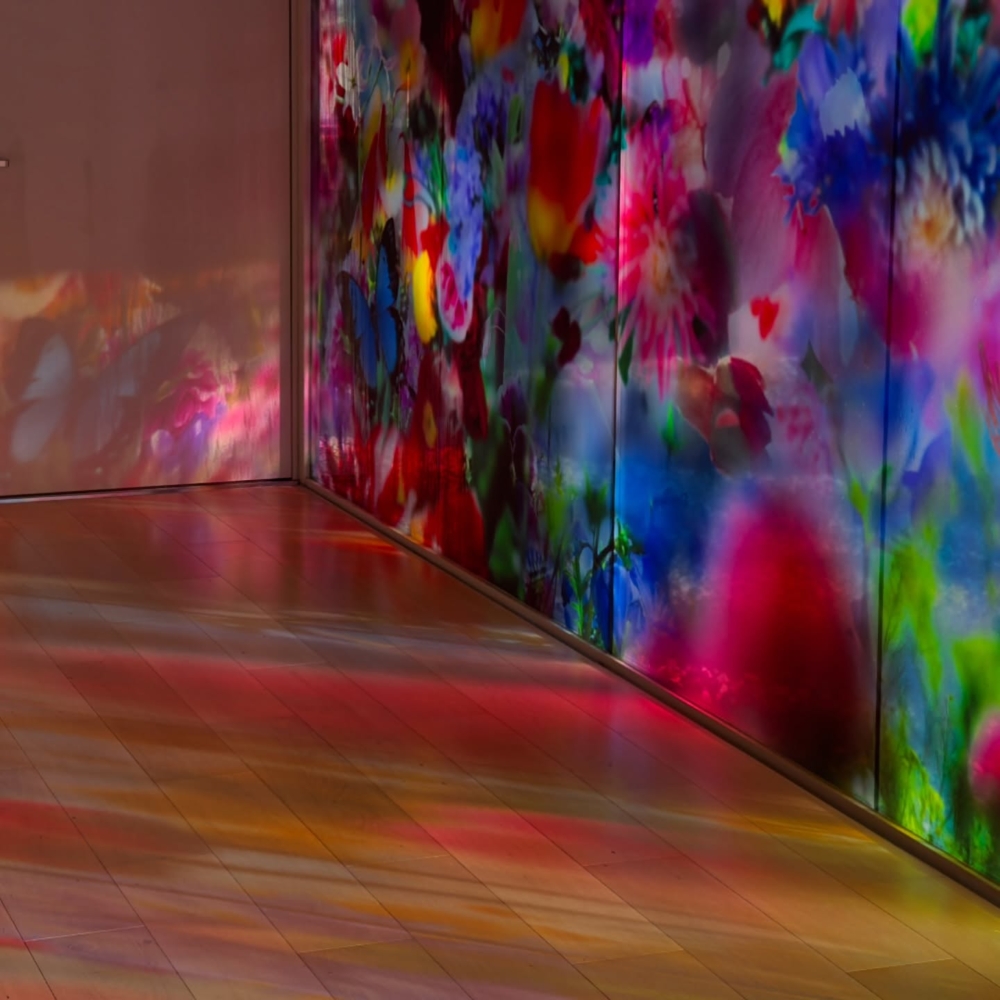 10個沉浸式「畫卷體驗」展區