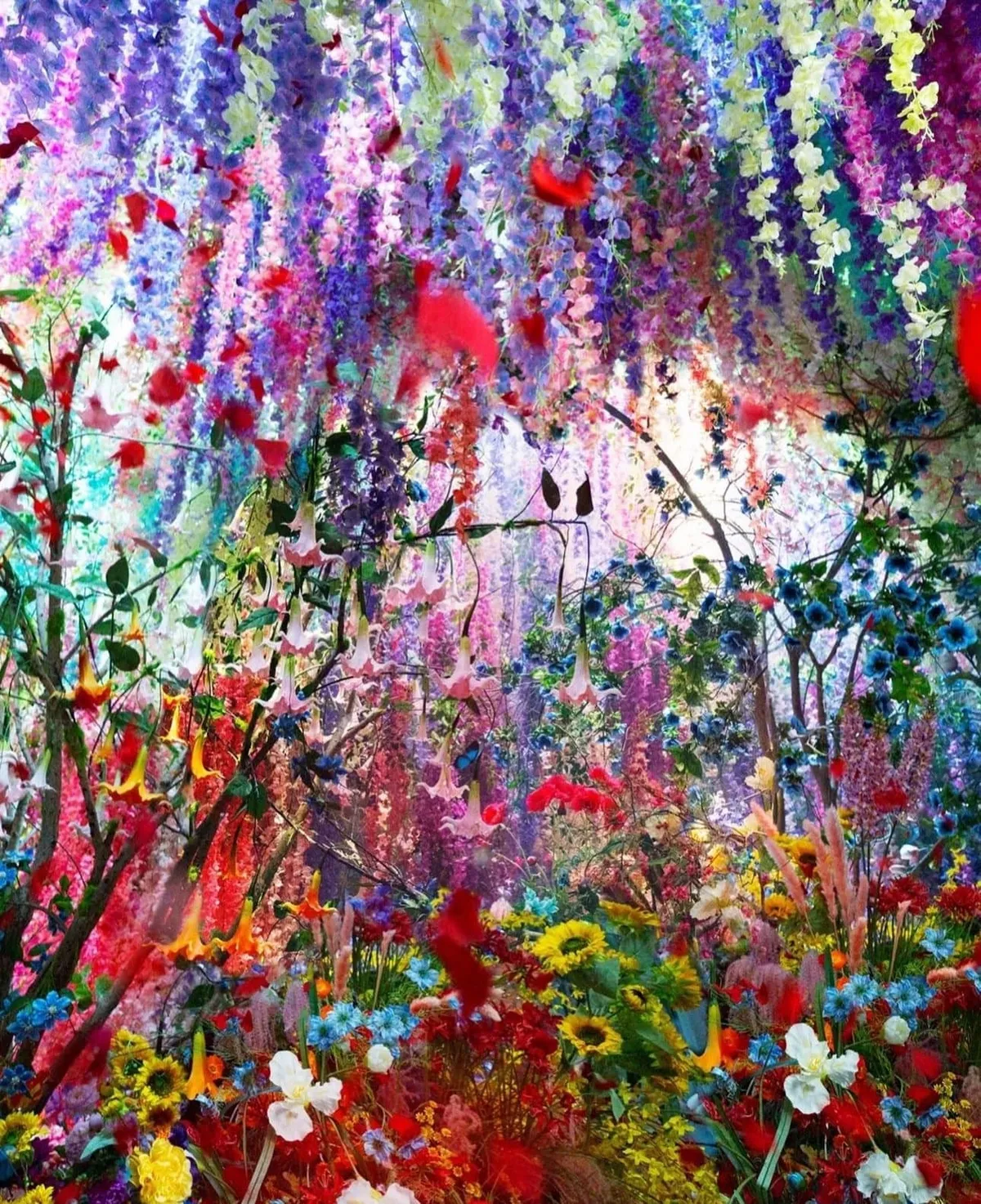 〈深淵中的彼岸之夢〉(Dreams of the beyond in the abyss)