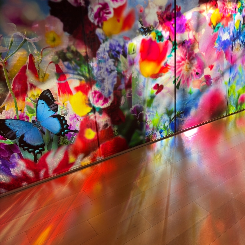 10個沉浸式「畫卷體驗」展區