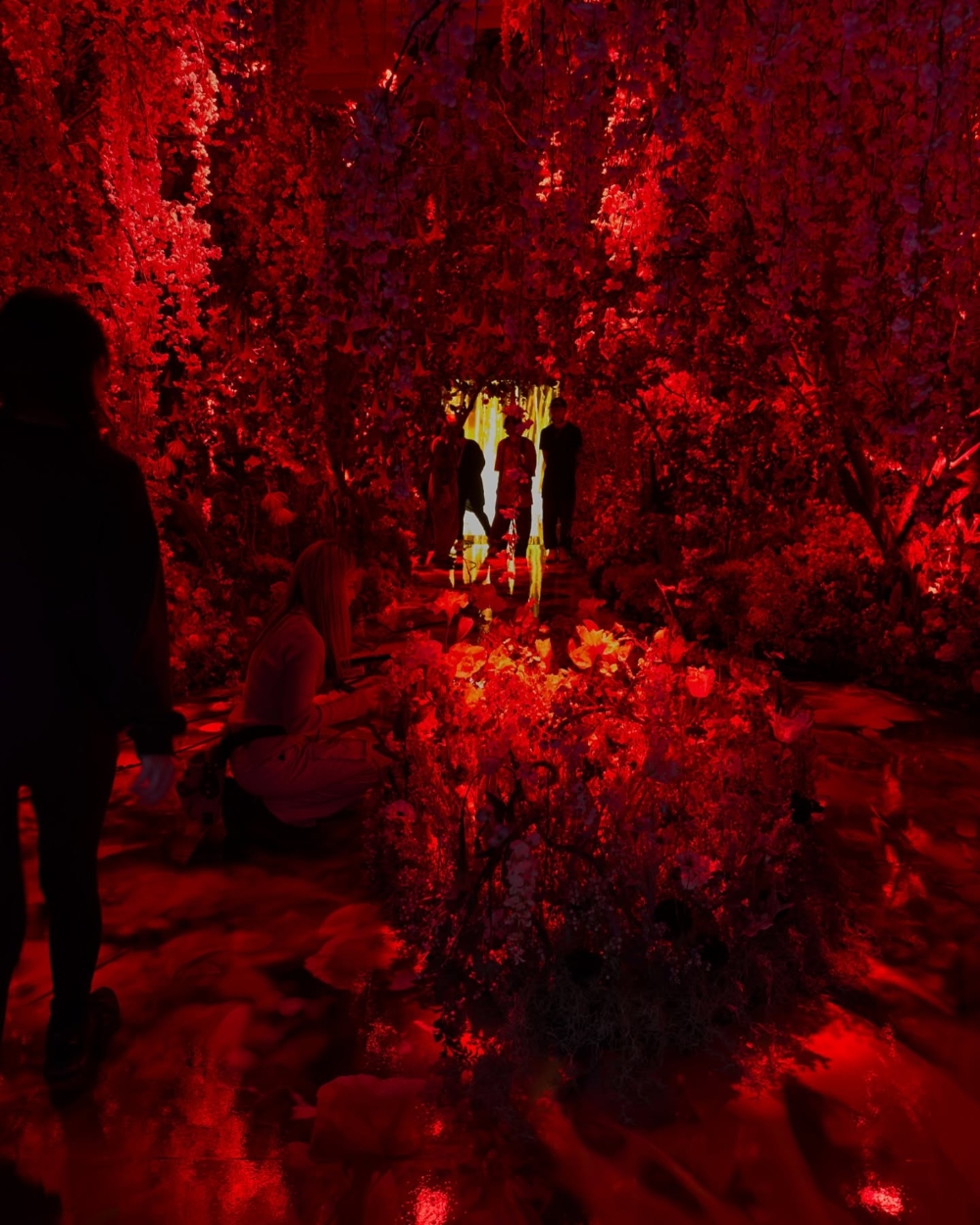 〈彼岸之花〉(Flowers of the Beyond)