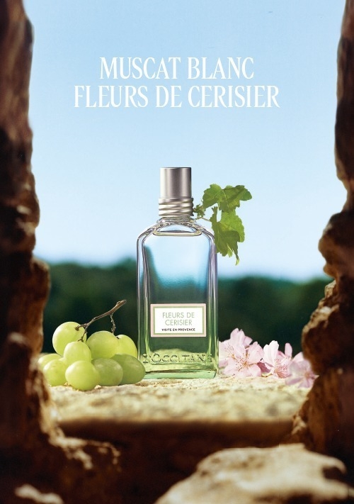 L'Occitane 葡萄櫻花香氛