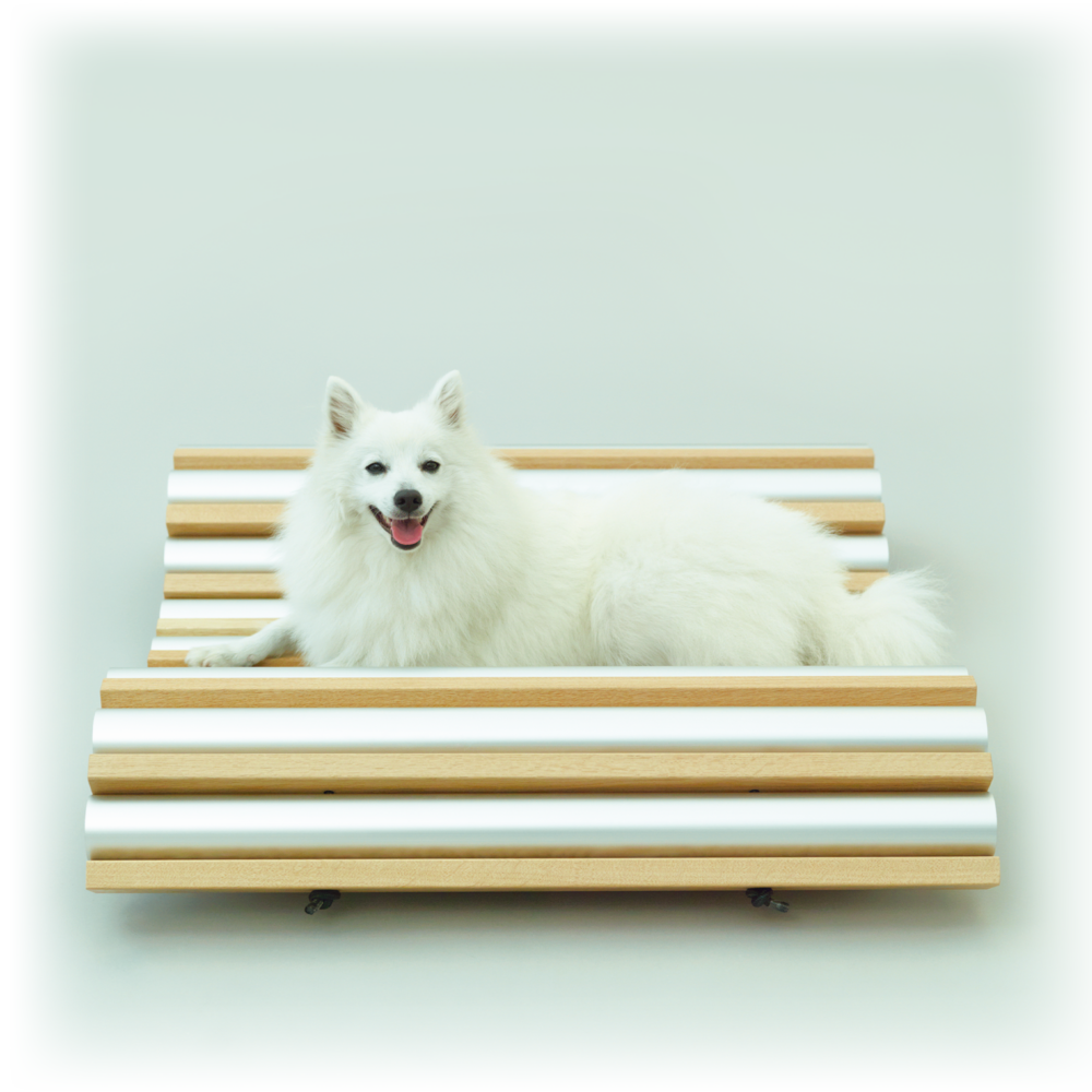 Architecture for DOGS計劃。