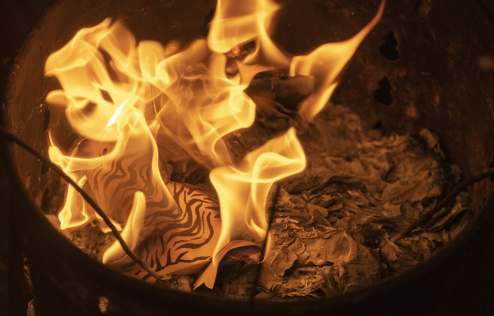 驚蟄日打小人，記得要供奉白虎！