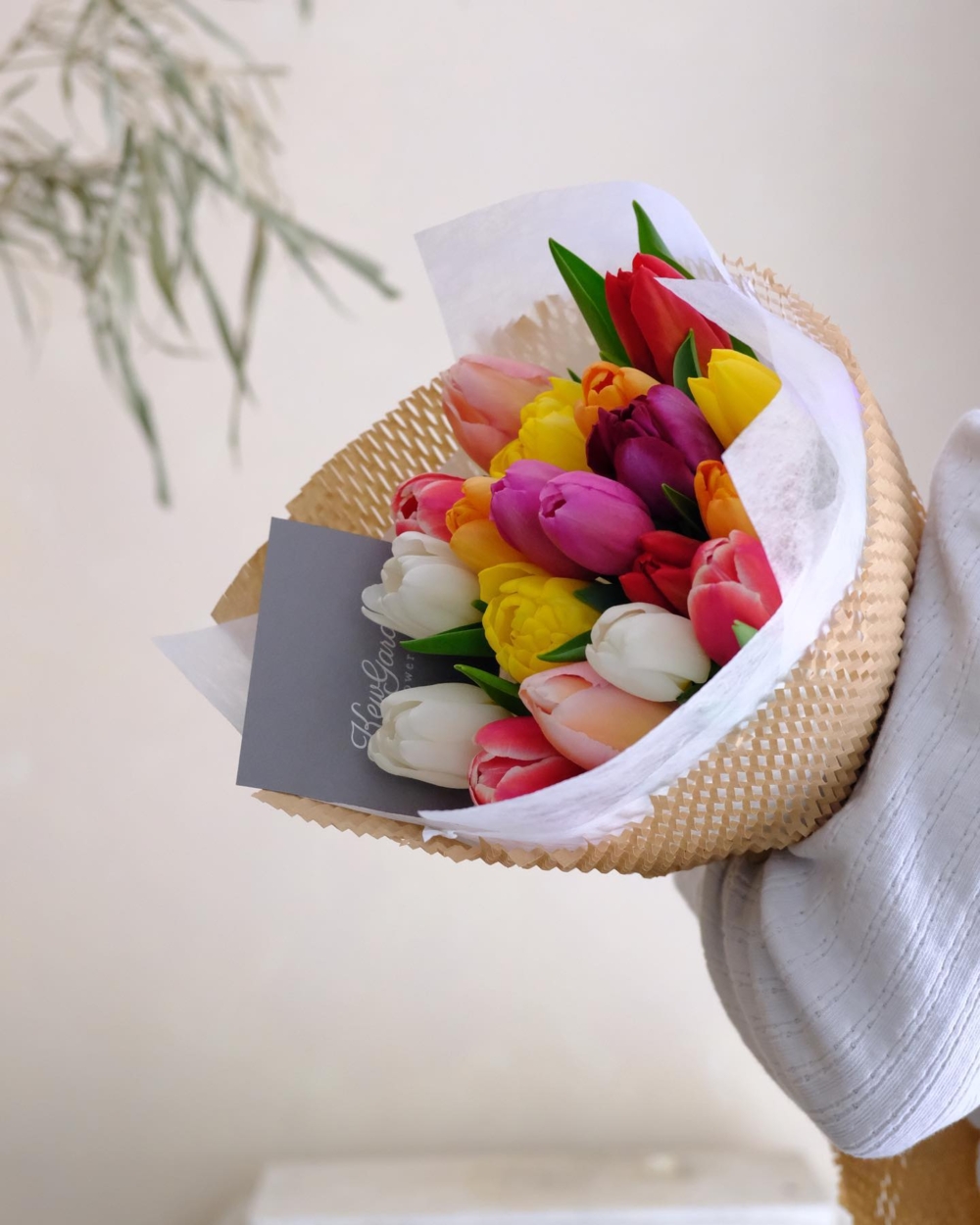 溫柔純淨的鬱金香