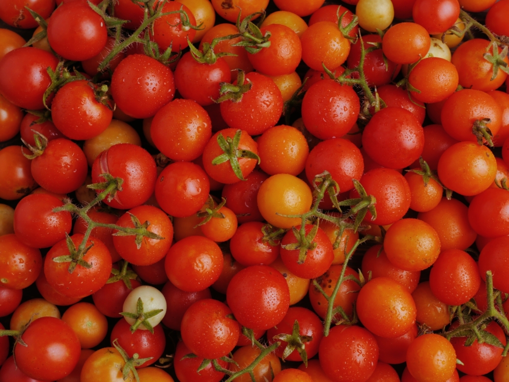 10粒車厘茄擁有約40mg維他命C~