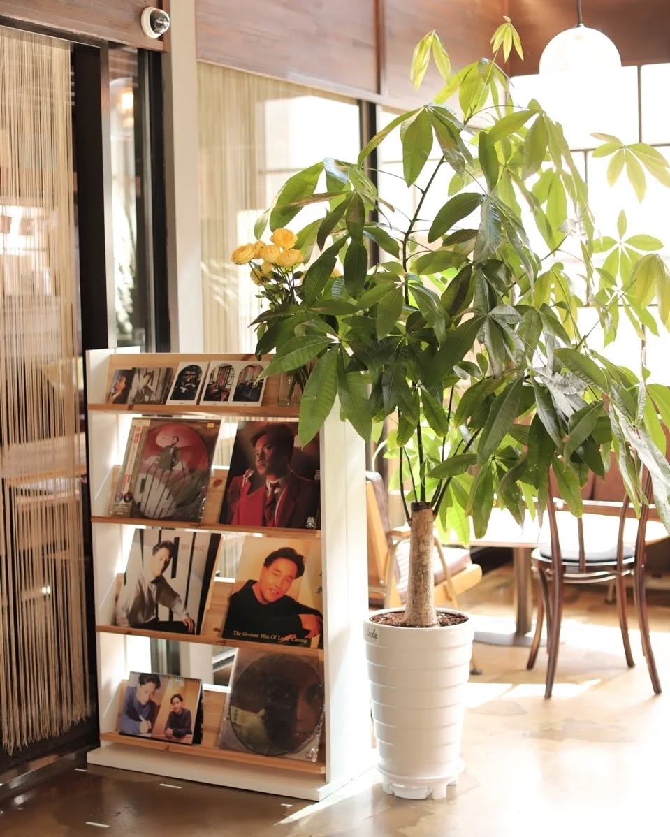 有個韓國fans說，她第一次聽《當年情》時，覺得旋律像是在講她的青春