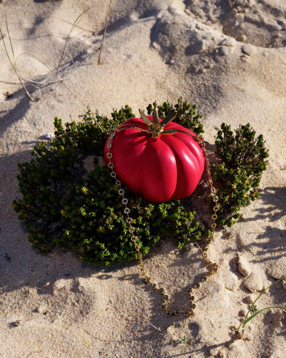 LOEWE 2025 Paula’s Ibiza系列