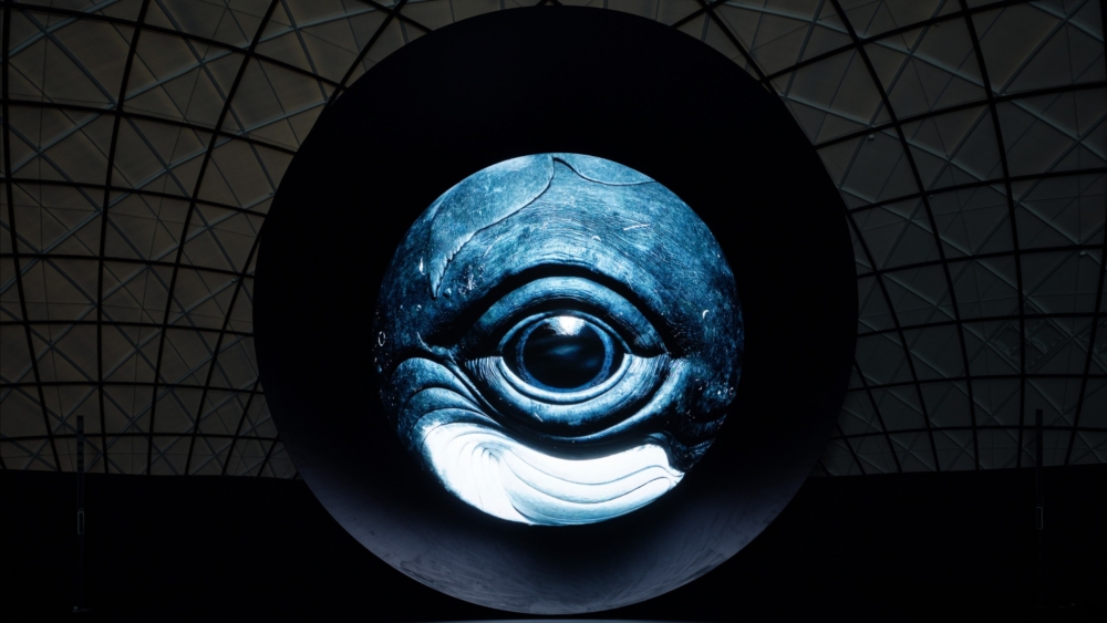 民間企業館「Blue Ocean Dome」