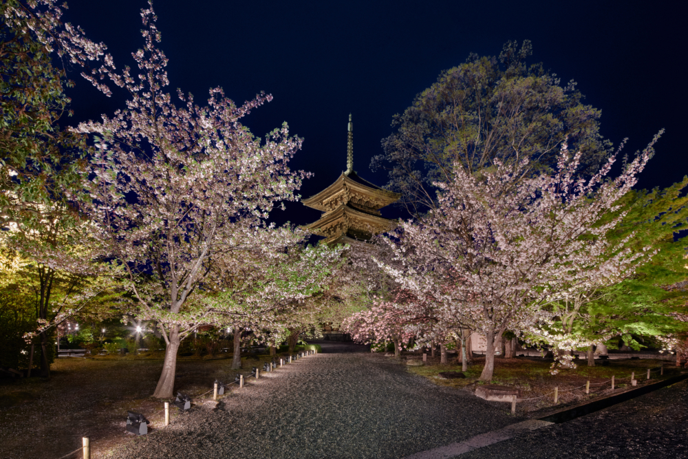 Dior 2025早秋系列