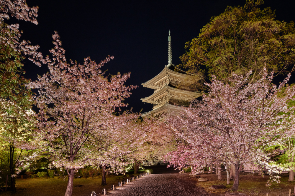 Dior 2025早秋系列