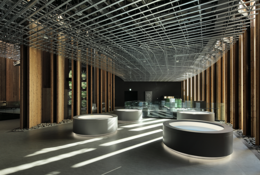 2025大阪世博建築日本館