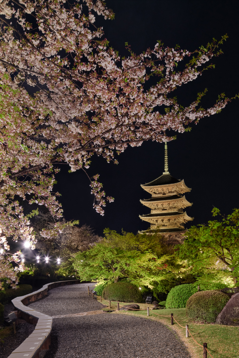 Dior 2025早秋系列