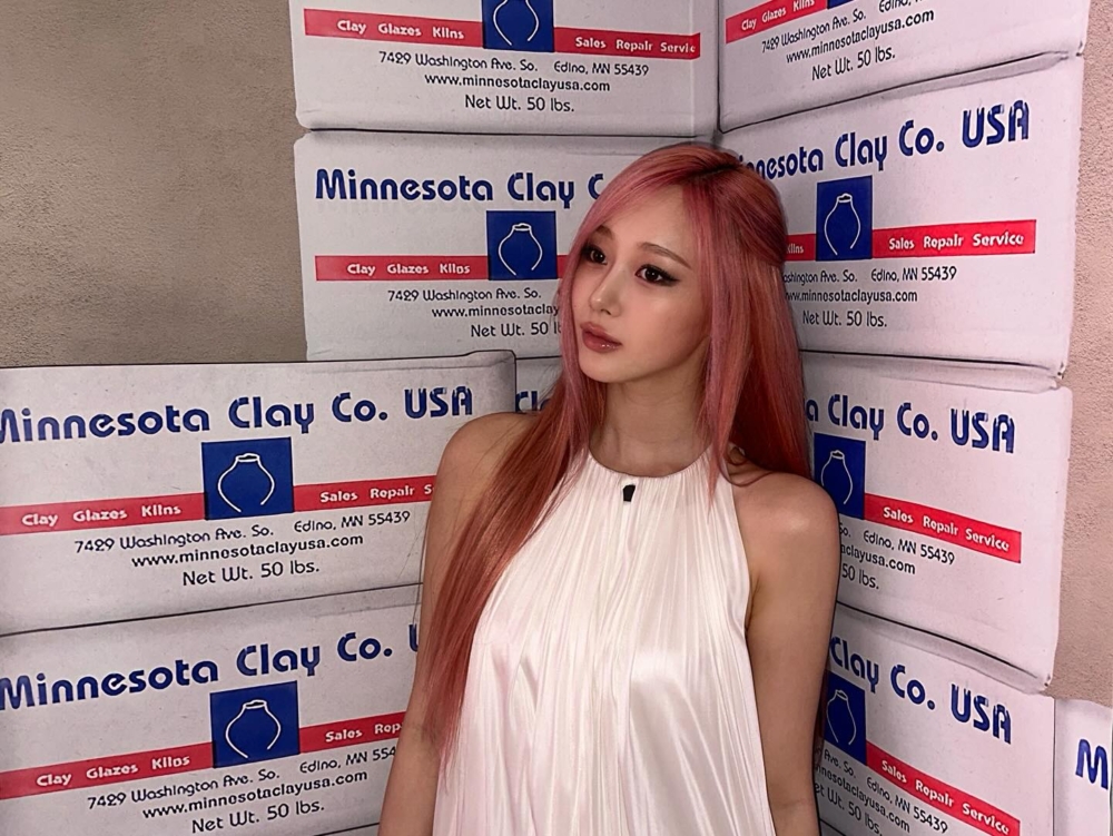 aespa Giselle莓果粉棕