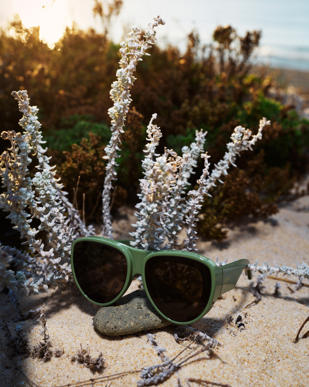 LOEWE 2025 Paula’s Ibiza系列