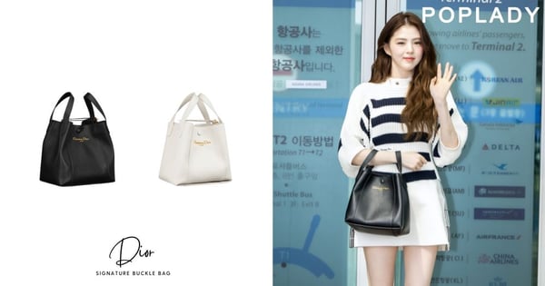 彰顯典雅之美：Dior Signature水桶包的精緻感，韓國藝人韓韶禧也揹上！