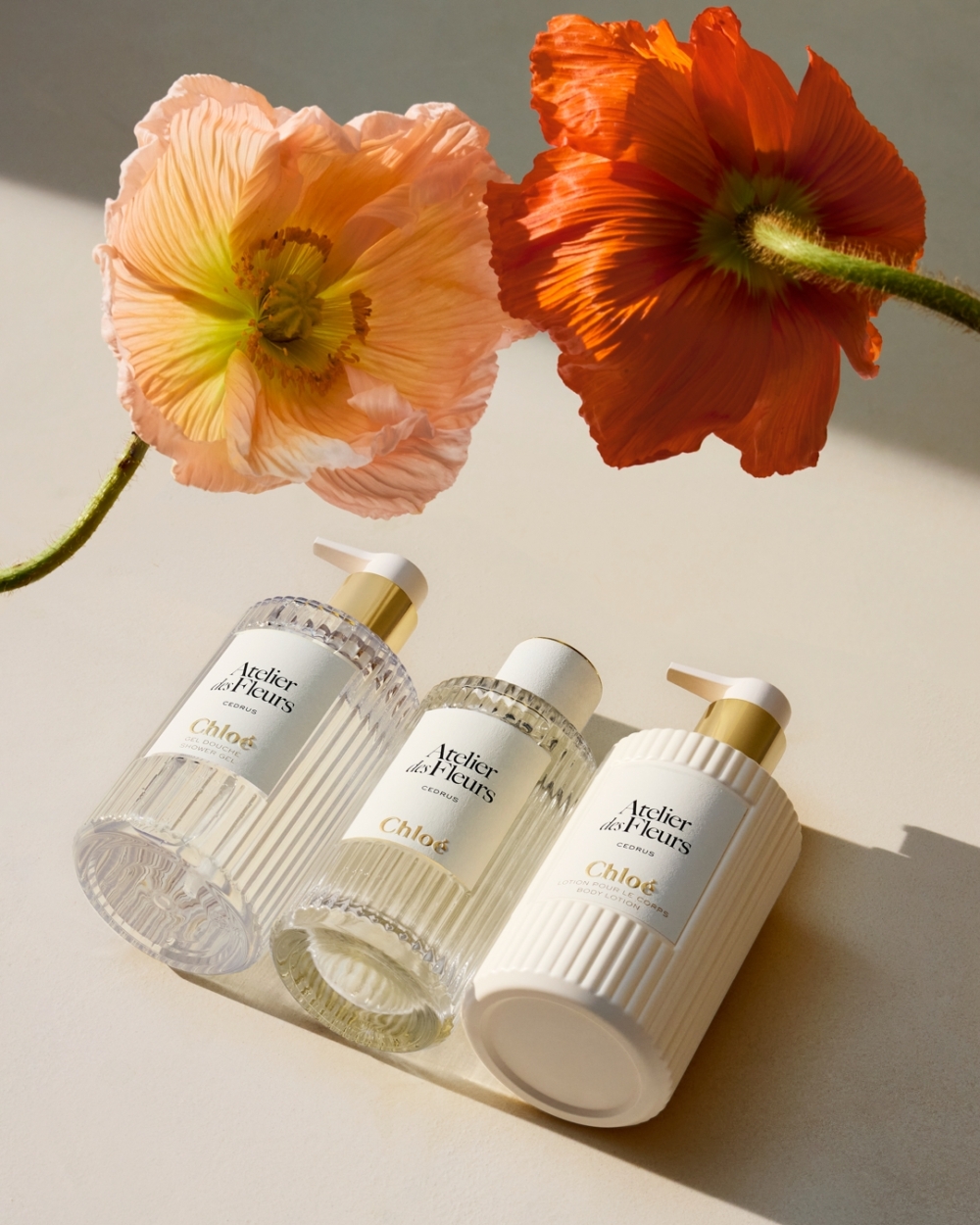 Chloé Atelier des Fleurs系列