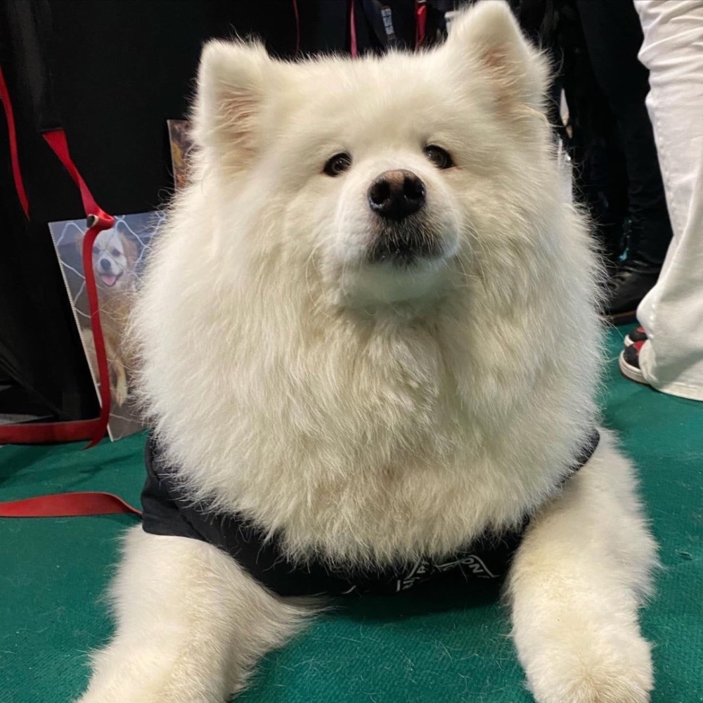 Felicity 積極參與各種慈善活動