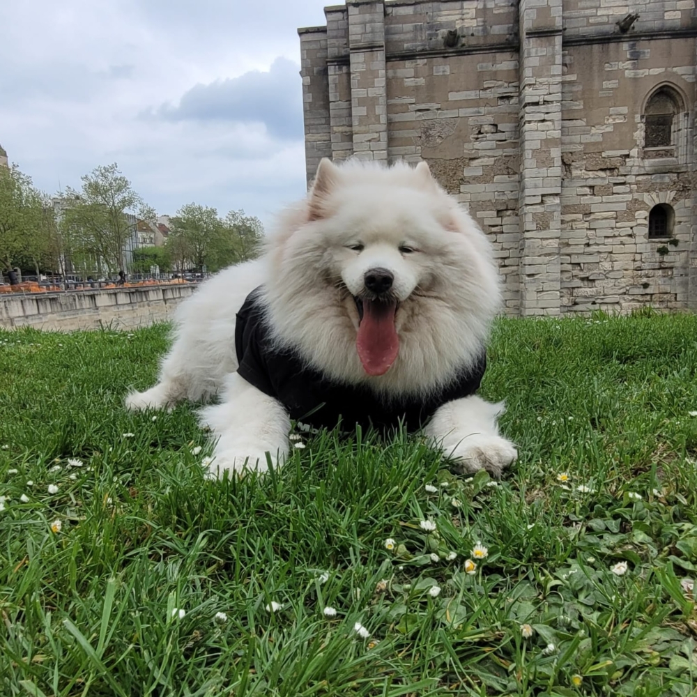 Felicity 的紅毯風采只是她生命故事的一小部分