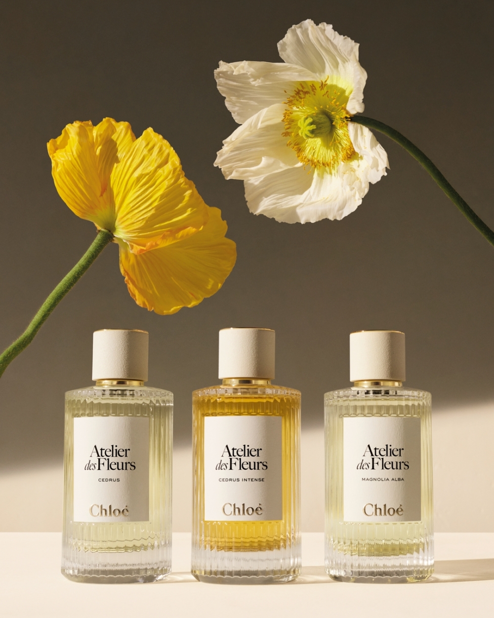Chloé Atelier des Fleurs系列