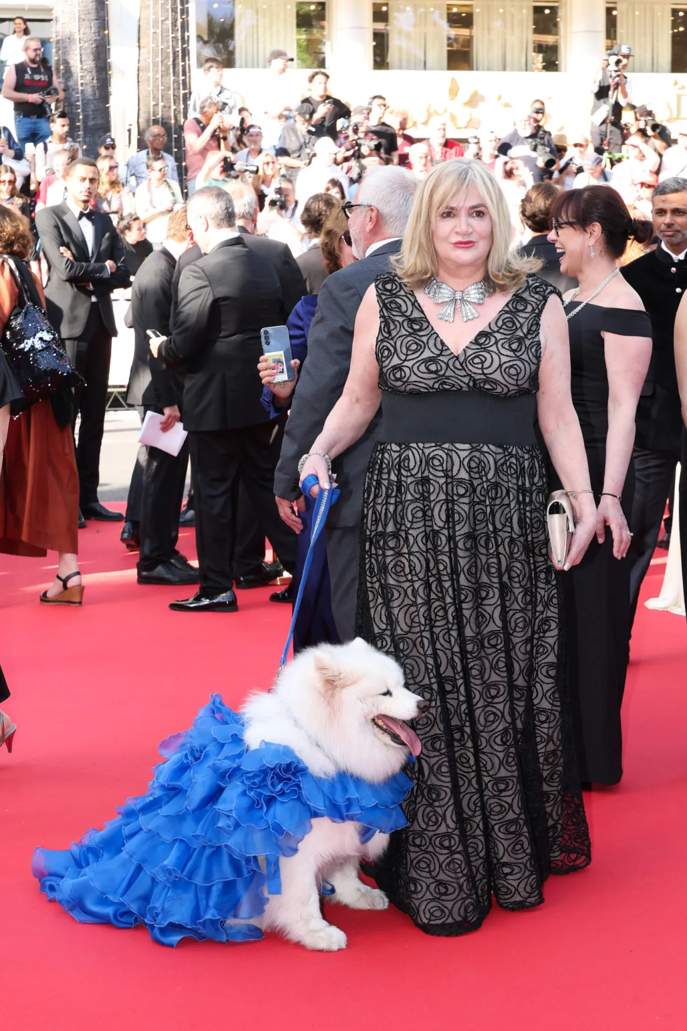 康城影展的毛茸茸明星:西摩犬Felicity