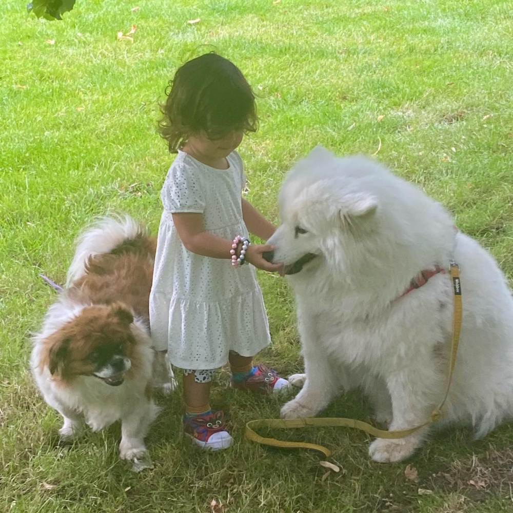 Felicity 積極參與各種慈善活動,親自上鏡替那些仍在等待救援的毛小孩發聲