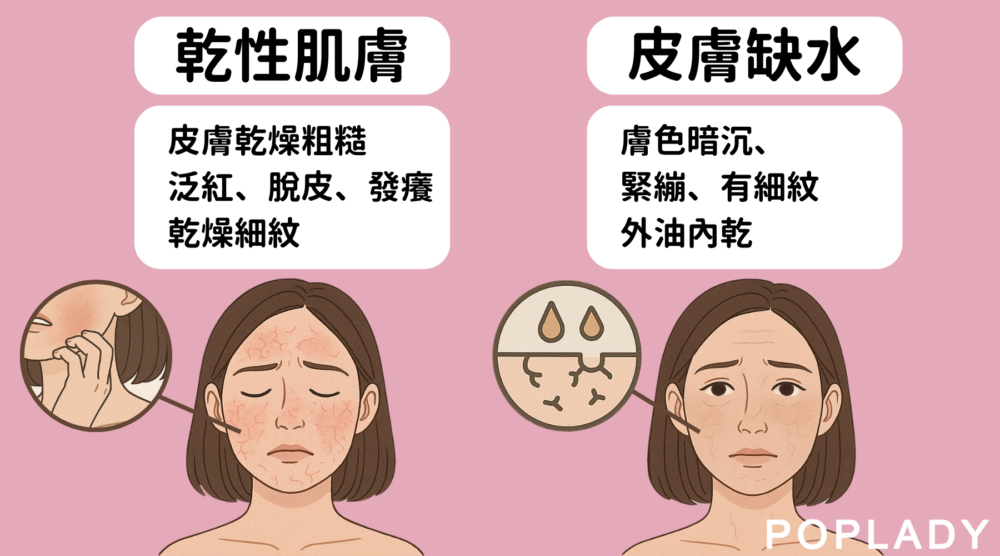 乾性肌膚與皮膚缺水是不同的肌膚症狀