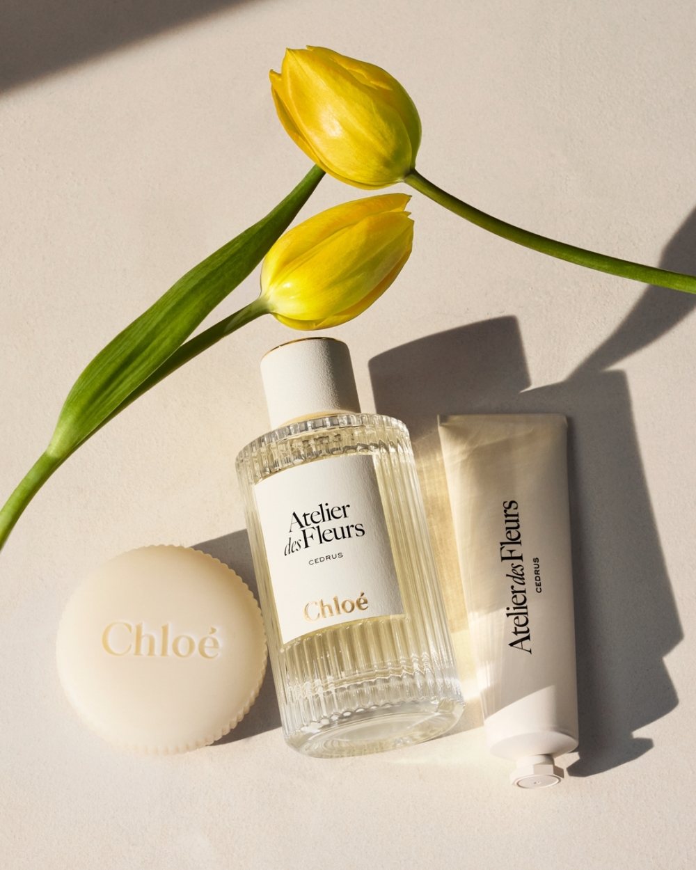 Chloé Atelier des Fleurs系列