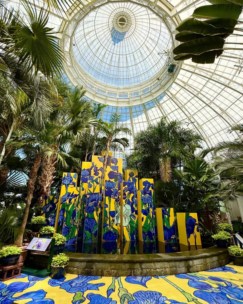 由藝術家組合「 Graphic Rewilding 」創作