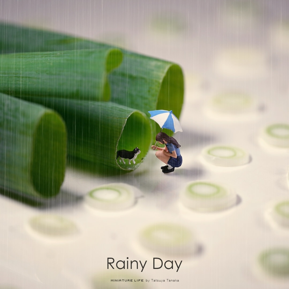 不只是欣賞藝術的趣味，也是一種靜默的自我對話