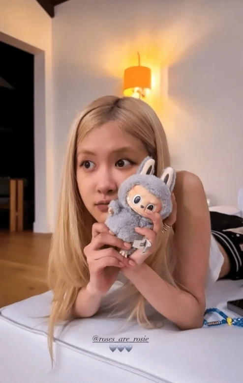 名人們紛紛和Labubu合影