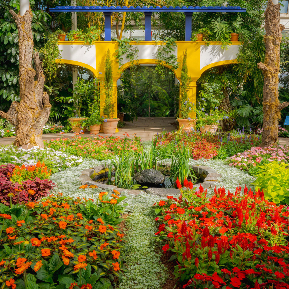 陽光穿過多彩玻璃映照在繽紛的熱帶花卉上，霎時間如同進入一座微型雨林的夢幻樂園