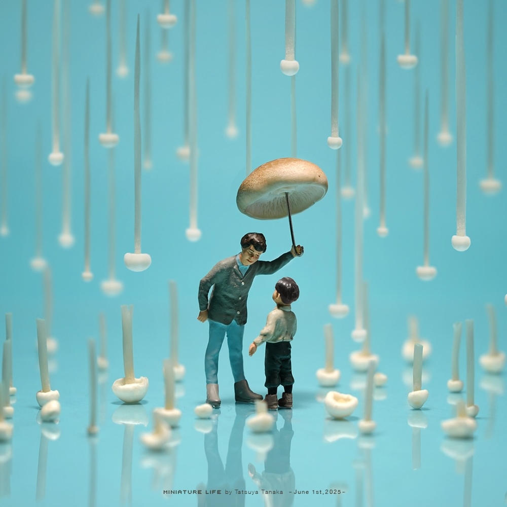 主動的觀看方式，是對世界持有詩意理解的姿態