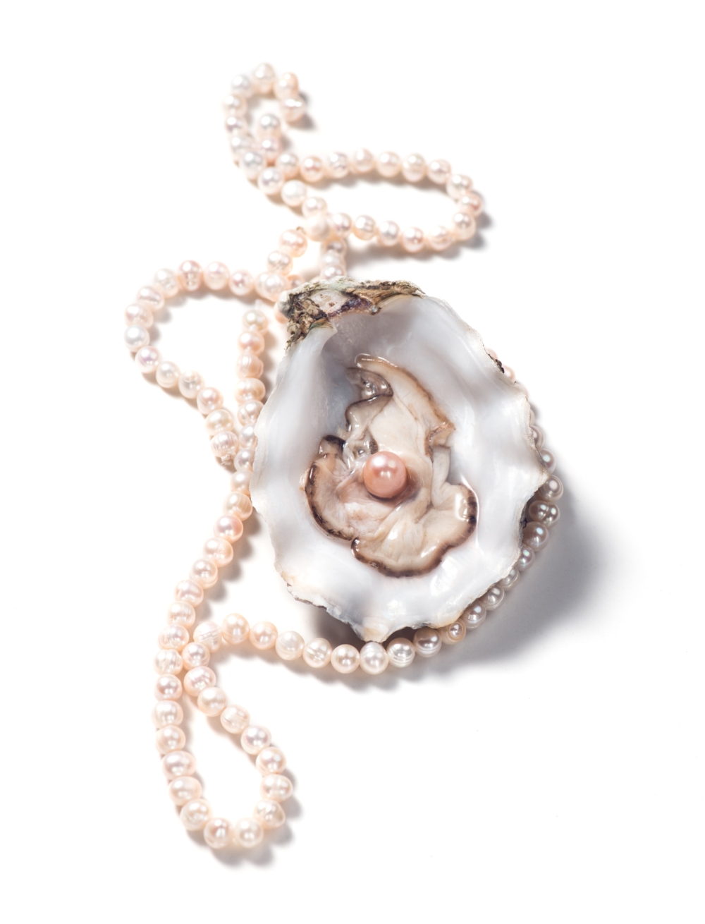 珍珠是一種由牡蠣或蚌類孕育而成的天然有機寶石。