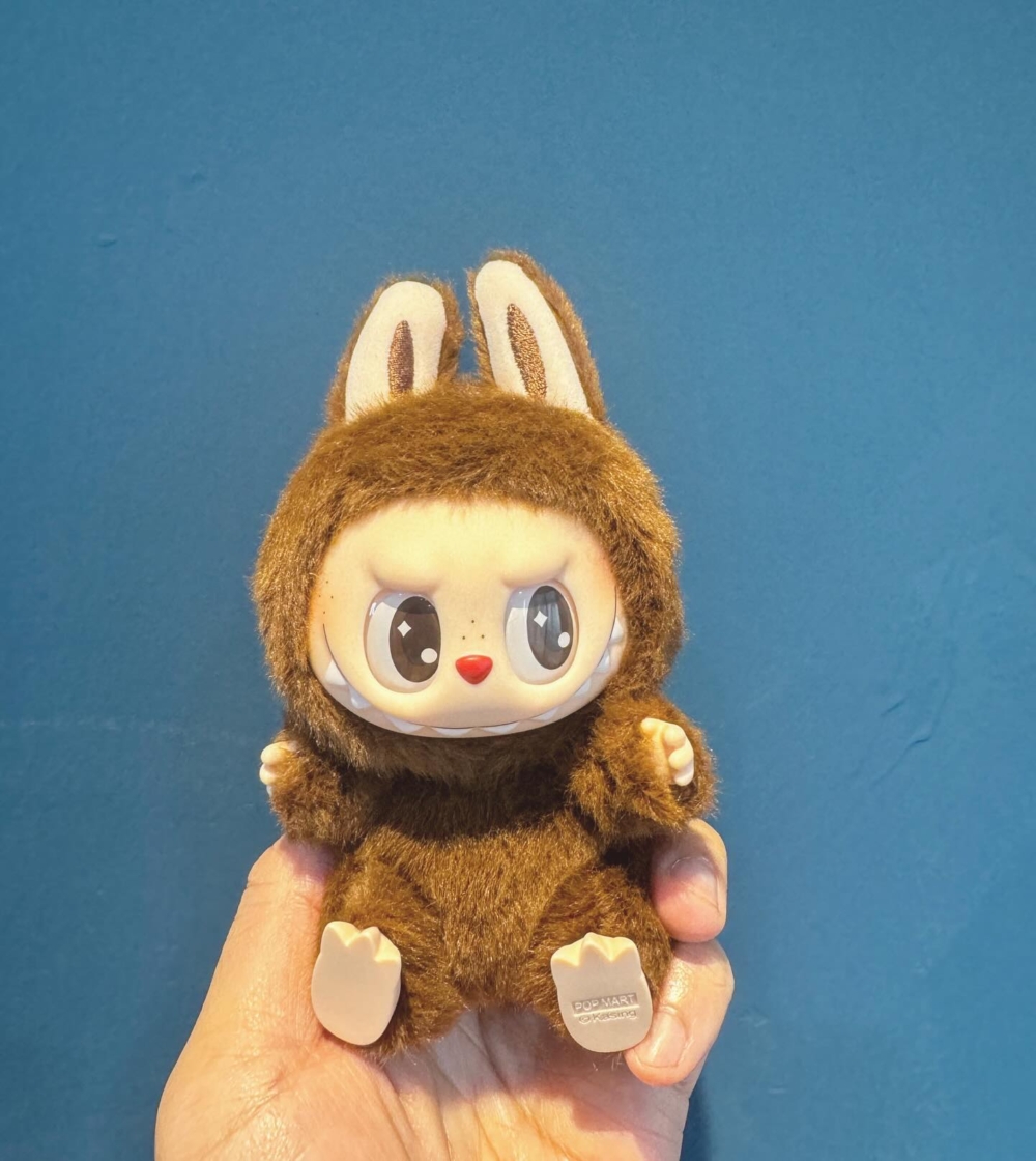 Labubu那張呆萌又略帶邪氣的臉,讓無數大人小孩都甘願掏錢抽盒