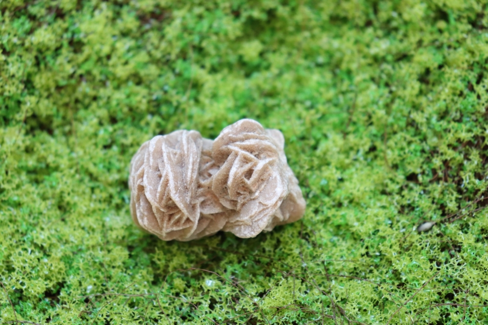 呈玫瑰狀結晶的透石膏，具穩定情緒、接地效果，兼具裝飾性。