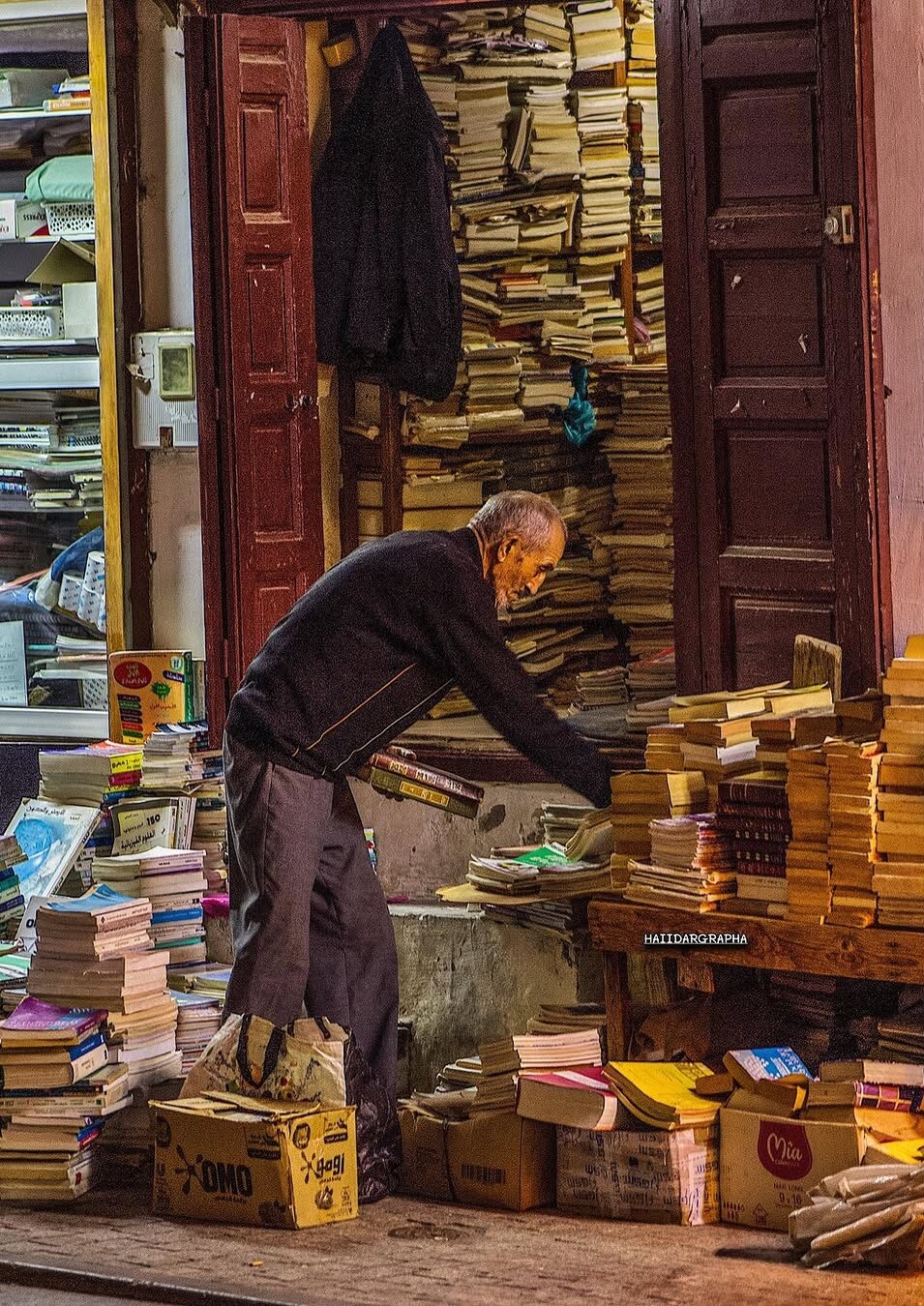 每日的朝聖:6 至 8 小時沉浸於文學的懷抱