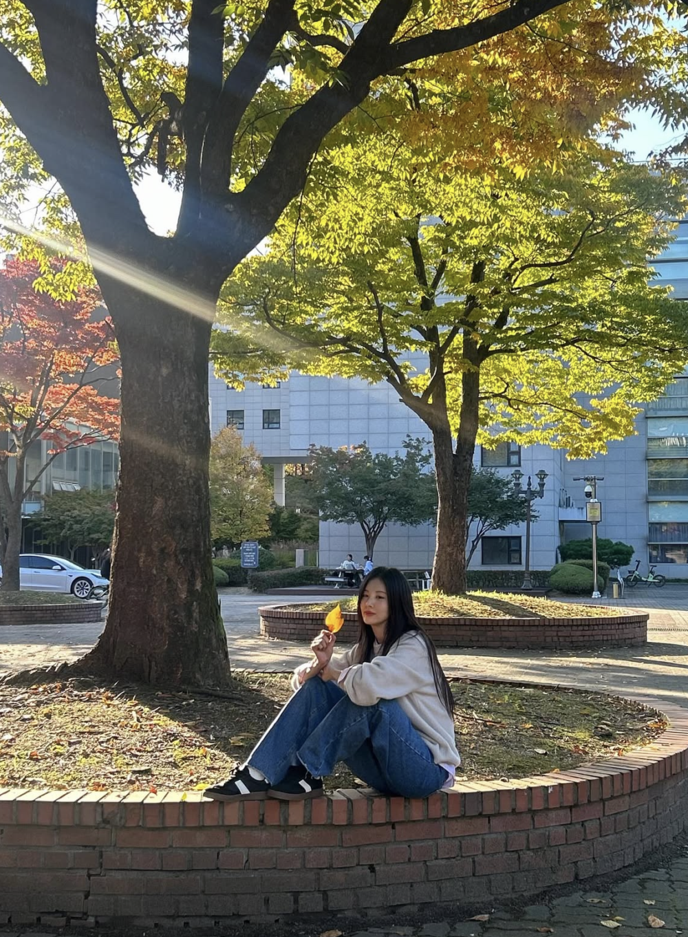 內容沒有刻意設計，卻更貼近生活的真實面貌。