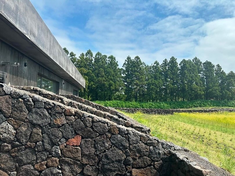 與濟州島的火山岩融為一體