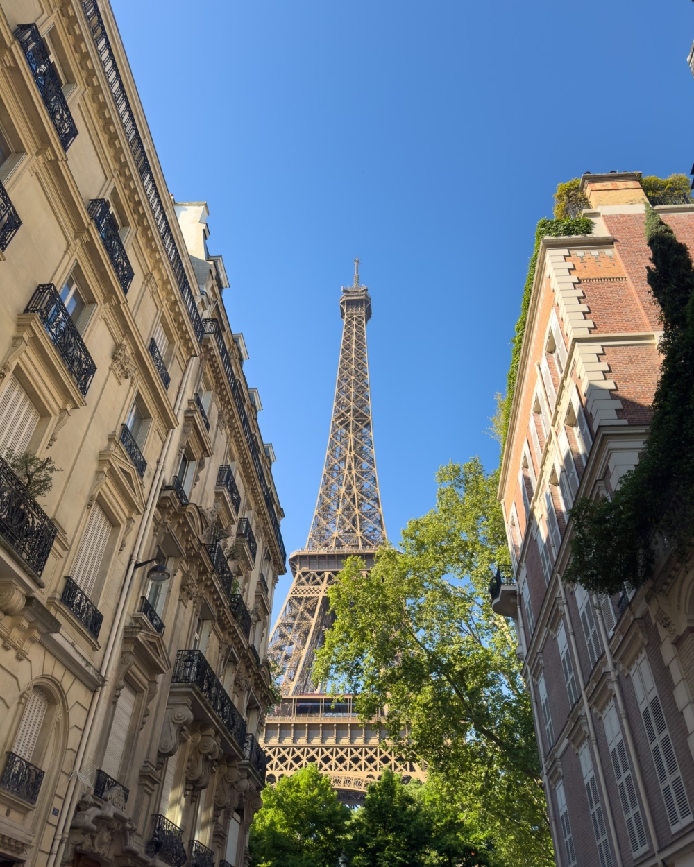 高溫驟來,連巴黎的地標、那座承載億萬浪漫想像的艾菲爾鐵塔,也按下「暫停鍵」