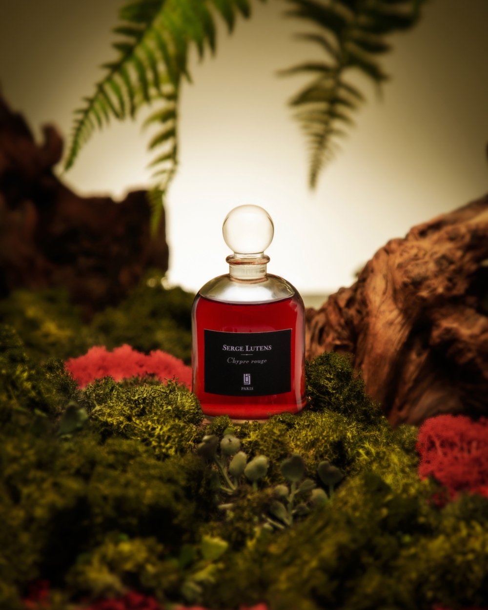 吊鐘瓶系列Chypre Rouge紅苔