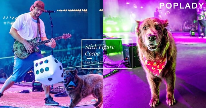 牠不是主唱,全場都為牠尖叫:最會巡演的狗狗是雷鬼樂團Stick Figure成員Cocoa!