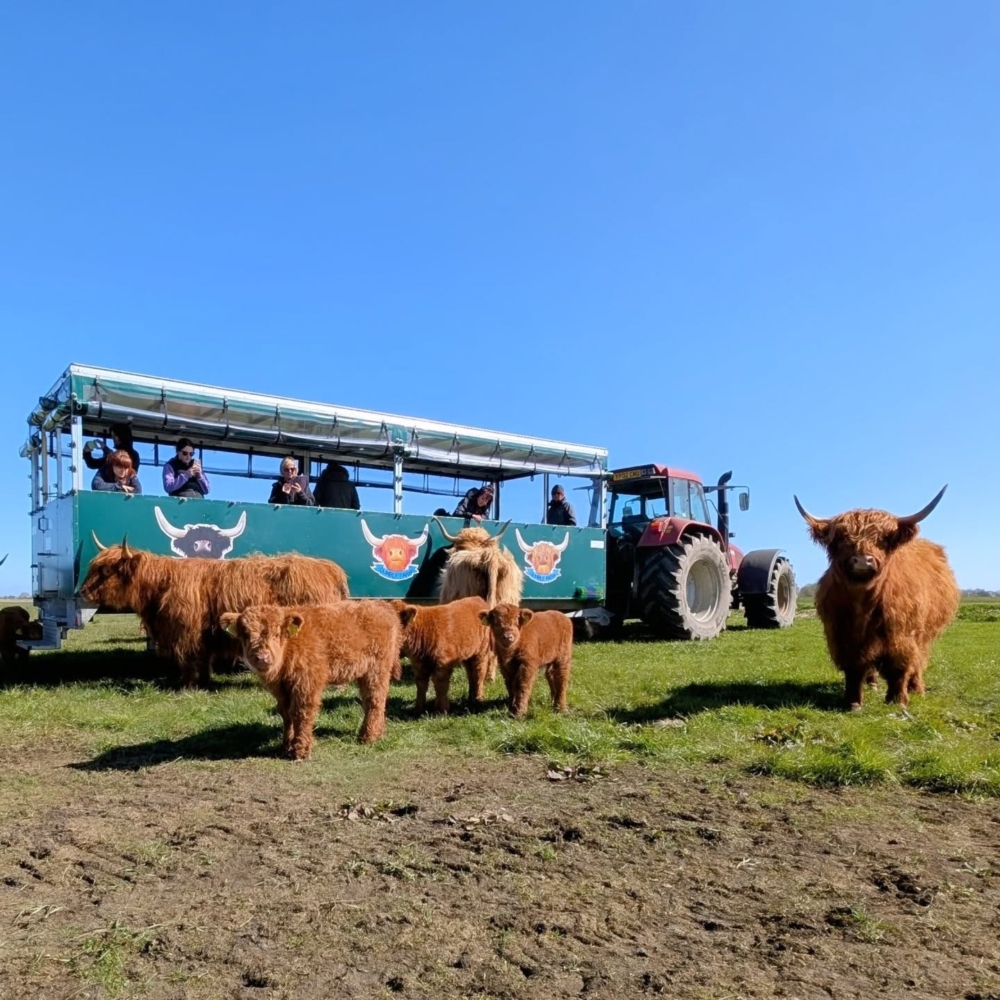 由於連年的水災將作物沖刷殆盡，再加上乳品市場價格持續低迷，遠遠無法彌補災害帶來的損失
