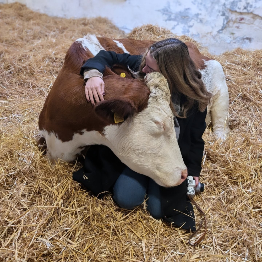 少養牛反而救了環境？