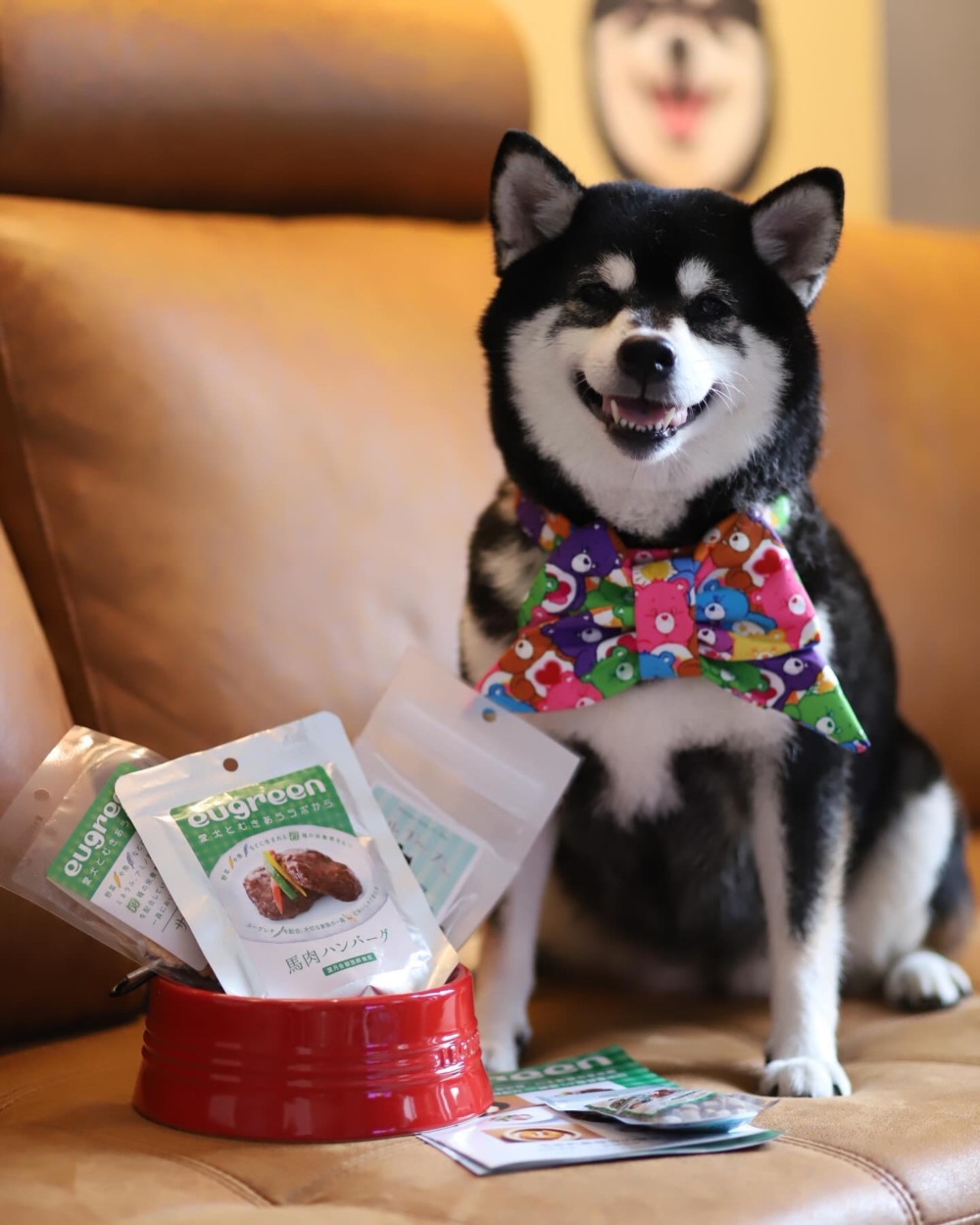 Hankyu Hello Dog旗下推出的eugreen系列