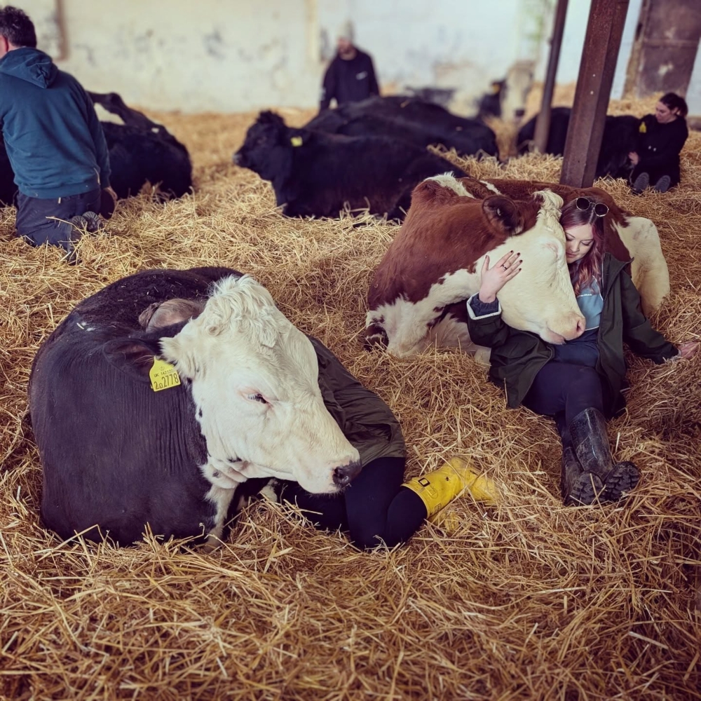 牧場在 2022 年做出轉型，她將幾乎所有的乳牛出售，並投入「療癒經濟」的懷抱。