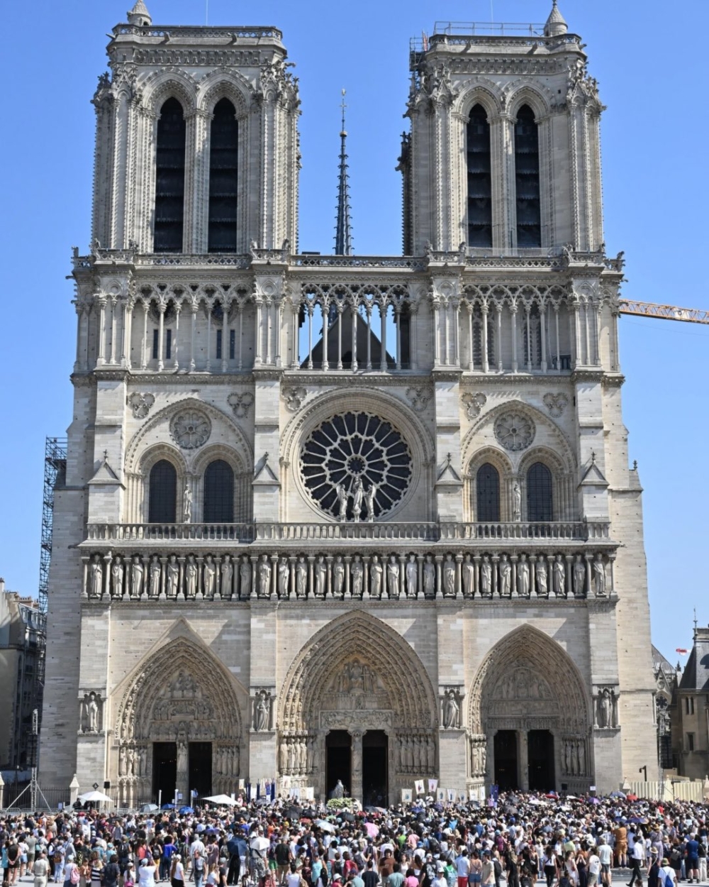 你準備好重回加西莫多的世界嗎？